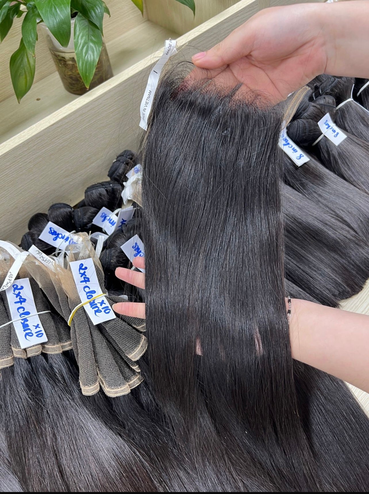 Raw Vietnamese Supplier